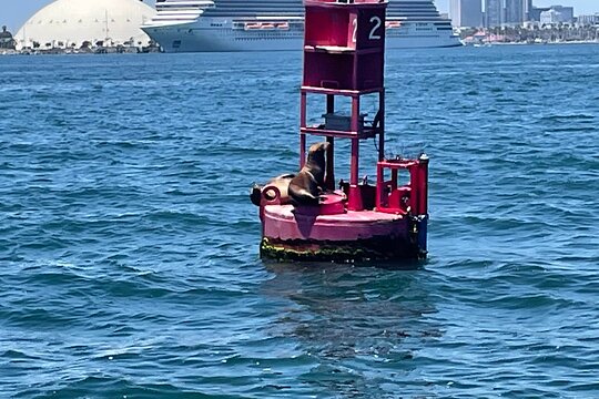 Tour image 6